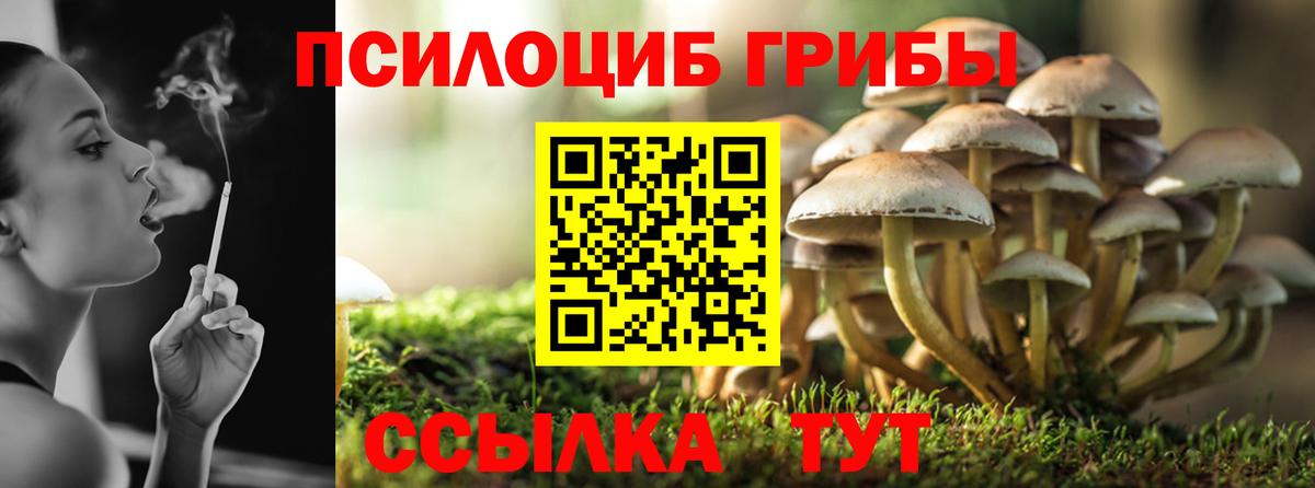 купить наркотик  Вход с VPN  Новокуйбышевск  Галлюциногенные грибы мухоморы 